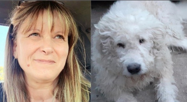 Animalista aggredita davanti casa: «Un uomo col casco ha iniziato a colpirmi, salvata dai miei cani» Il racconto choc