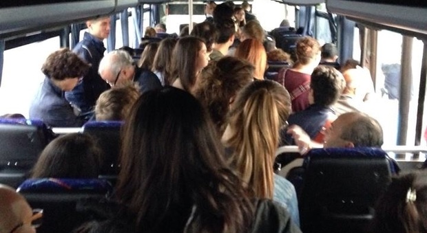 Pesaro, segue le studentesse sul bus e le molesta: pensionato denunciato