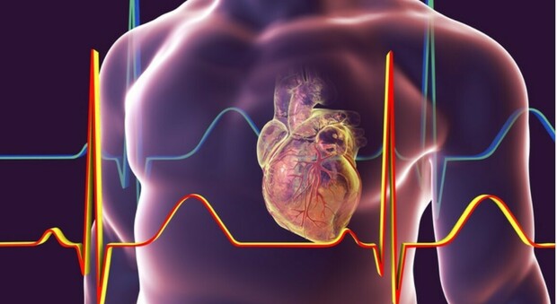Covid, uno studio rivela: «Aumenteranno infarti e malattie del cuore»