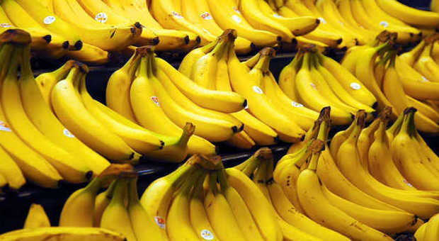 ​Banane, è allarme “peste": potrebbero scomparire per sempre dalle nostre tavole