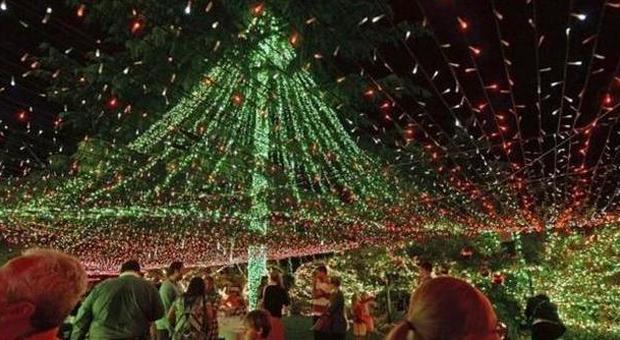 Natale, albero da record in Australia: oltre 500 mila luci al led per beneficenza