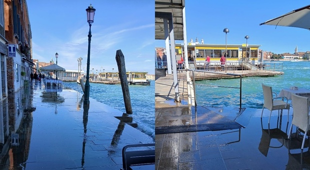 https://statics.cedscdn.it/photos/MED/87/69/8398769_06200543_rive_sotto_acqua_giudecca_venezia_1_.jpg