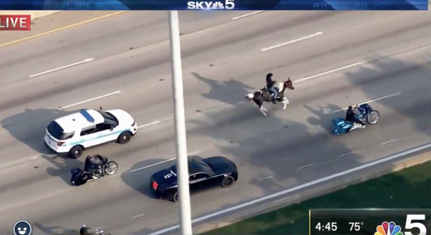 Uomo scappa a cavallo dalla polizia in autostrada: l'inseguimento ripreso in diretta tv Video