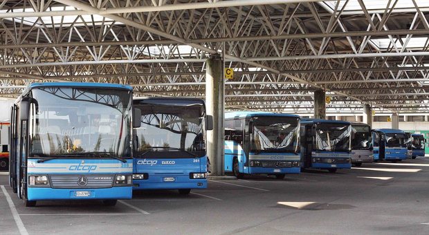 Alcuni bus dell'Atap di Pordenone in una foto d'archivio