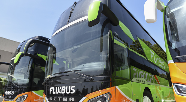 Flixbus in arrivo nuove mete per il 2020, si espanderà dai Paesi Baltici all'Africa
