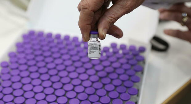 Vaccino Pfizer, cosa c'è da sapere: funzionamento, efficacia, costi e conservazione
