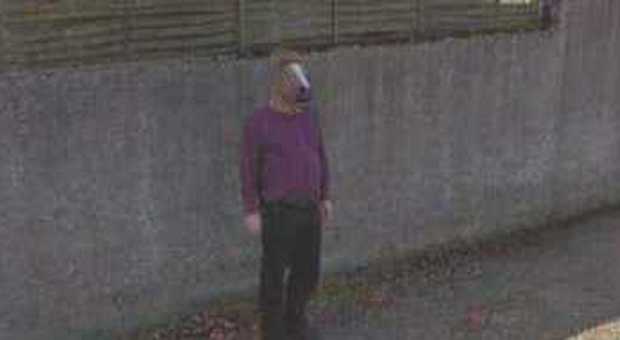 L'uomo cavallo ripreso da Street View