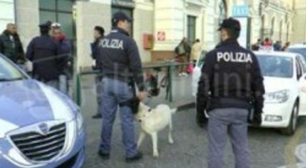 Fermo, il pastore tedesco della polizia fiuta droga a scuola, due studenti nei guai