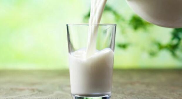 Intolleranza al lattosio, boom di test per diagnosi sul web