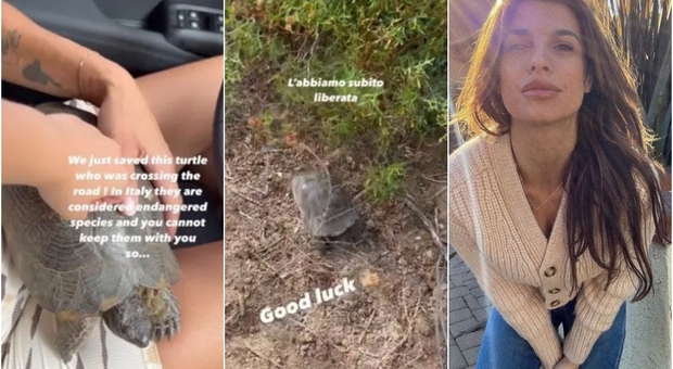 Elisabetta Canalis blocca il traffico e salva una tartaruga: «Rischiava di diventare una frittella»