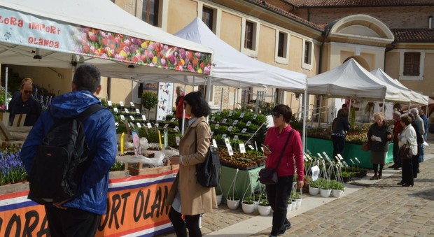 Ancona Flower Show, anche il sole per lo start della quarta edizione