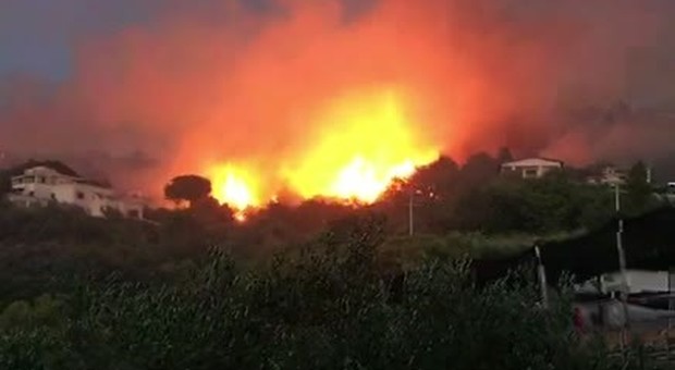 Nuovo incendio a Palinuro: distrutta la macchia mediterranea
