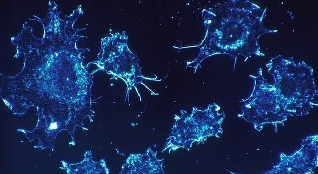 Tumori, allarme oncologi: «Possibile pandemia di contagi, screening in ritardo per il Covid»