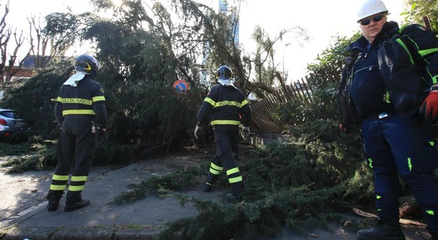 Maltempo, vento record da Pescara a Milano: alberi crollati, piste da sci chiuse