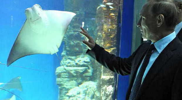 Il presidente russo Vladimir Putin visita un acquario