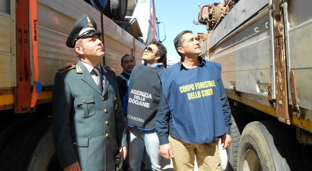 Tentavano di imbarcarsi con 17 chili di marijuana Coppia albanese arrestata al porto