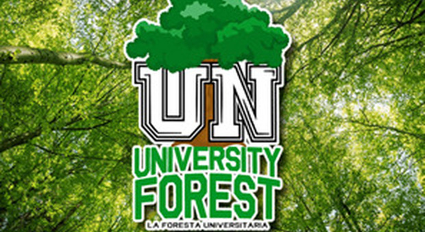 "La foresta universitaria", il progetto di University Network e Treedom: con un click pianti un albero