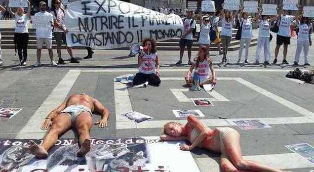 Corpi nudi e insanguinati in piazza Duomo: blitz animalista contro l'Expo -Foto