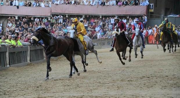Palio di Siena, vince il cavallo "scosso" senza fantino della contrada della Selva