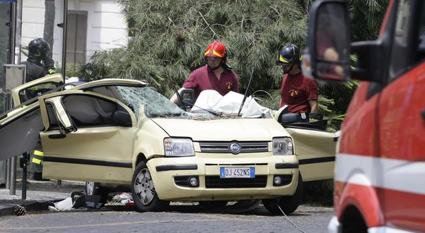Napoli, morì in auto schiacciata dall'albero: condannato anche un vigile del fuoco