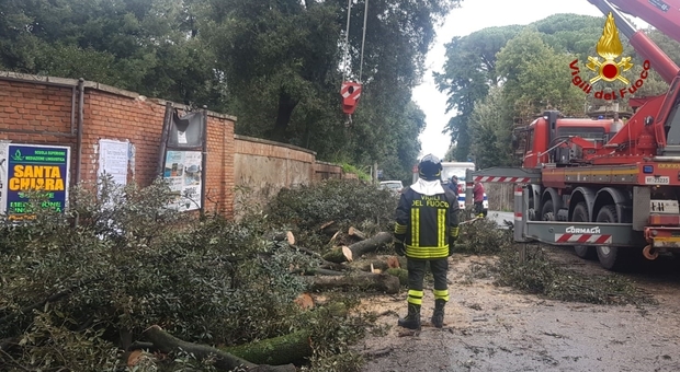 Rieti, vigili del fuoco in azione in bassa Sabina per mettere in sicurezza le strade: tantissimi rami caduti