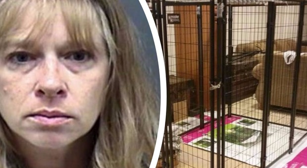 Bimba di 9 anni chiusa in gabbia dalla nonna e trattata come un cane: "Era un pericolo"