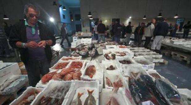 Fiumicino, Montino: «Il mercato del pesce torna lungo il porto»