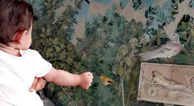 Lo scatto di un piccolo turista che gioca con l'uccellino di un affresco di Pompei è virale