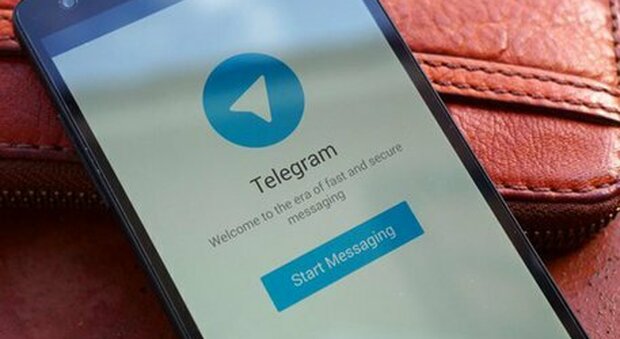 Green pass falsi in vendita a 250 euro: sequestrati due canali Telegram