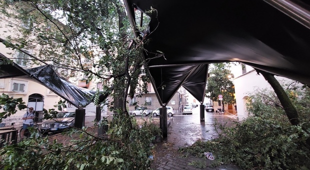 Maltempo a Terni, danneggiate le vele di piazza dell'Olmo. L'architetto Patalocco: «Danno provocato dalla mancata manutenzione»