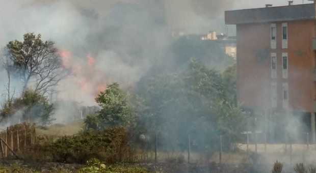 Vasto incendio alle porte di Latina, fiamme alte e paura tra i residenti/Le foto