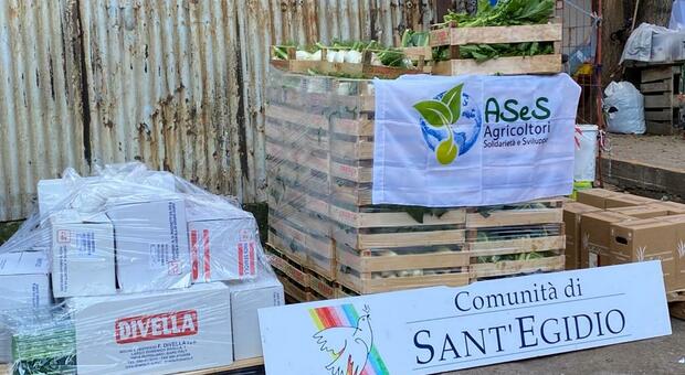 Covid: ASeS-Cia, al via donazioni alimentari in tutt’Italia per la Giornata internazionale della solidarietà