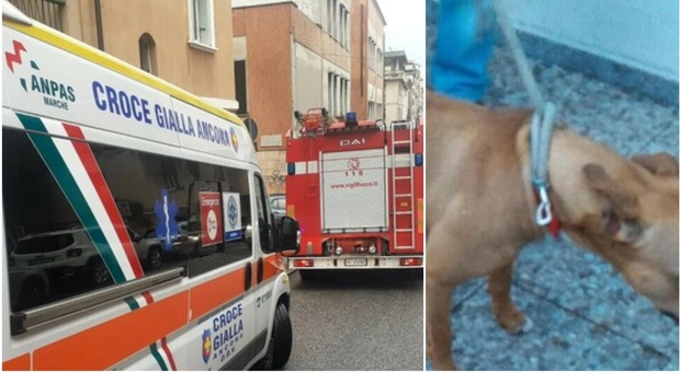 Il cane abbaia, arrivano i soccorsi: la donna di 59 anni a Jesi era morta da 3 giorni