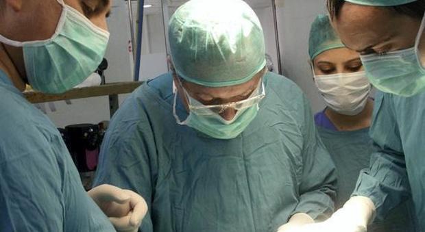 Record di medici obiettori in Polesine: il caso arriva in Parlamento