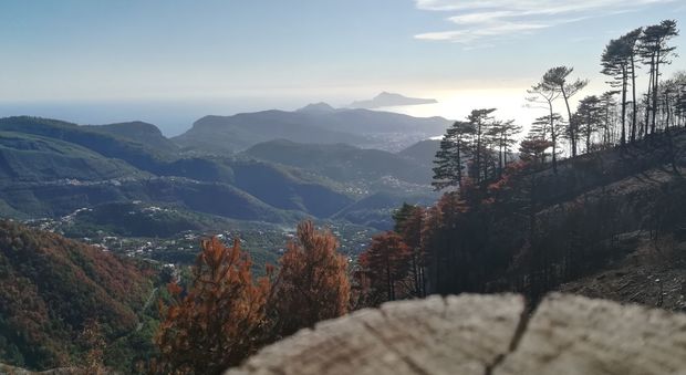 Monte Faito, musica e trekking dopo i roghi estivi
