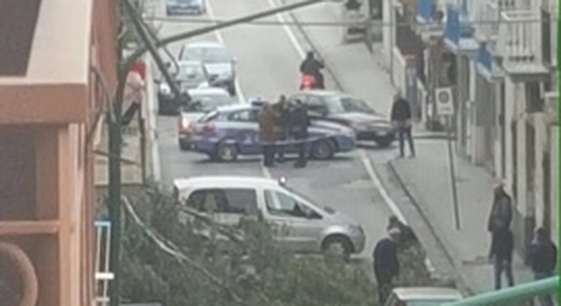 Albero crolla sulla carreggiata a Torre del Greco, nessun ferito: strada chiusa al traffico