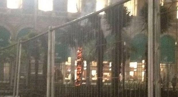 Milano, bruciata una delle palme della discordia piantate in piazza Duomo