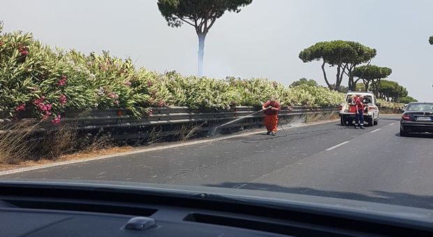 Roma, incendio di sterpaglie sulla Colombo: traffico rallentato