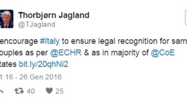 Il tweet dell'Ue: "L'Italia garantisca i diritti"