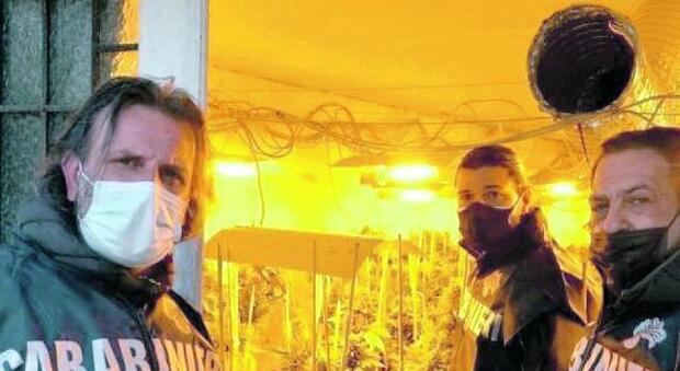 Fabbrica di marijuana, arrestati i due produttori