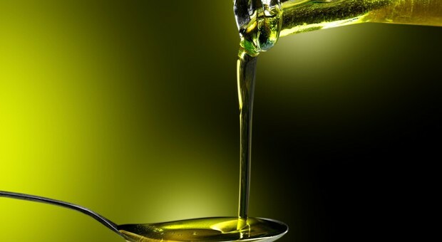 Un 'elisir' dagli scarti di produzione dell'olio d'oliva