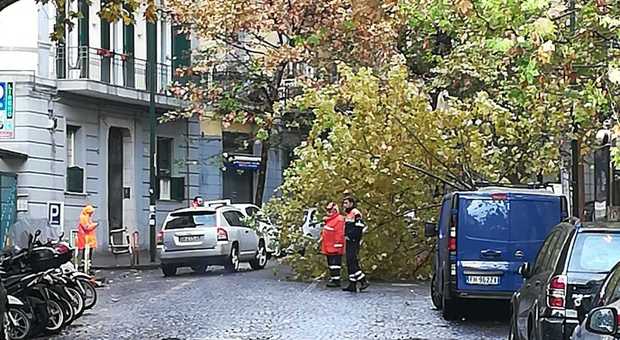 Bomba d'acqua su Napoli, piovono anche alberi al Vomero: «Aspettiamo il morto?»