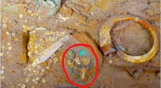 Trovata collana persa nel naufragio del Titanic con un dente dello squalo preistorico Megalodonte