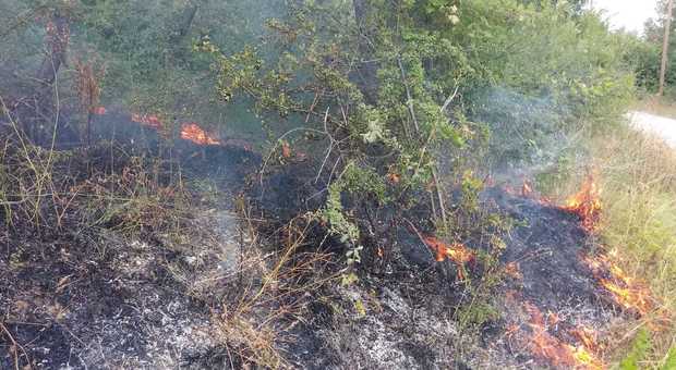 Domenica di fuoco in Irpinia, distrutti 20 ettari di bosco