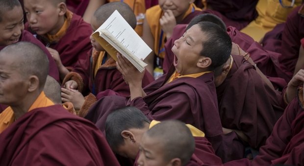 Lo sbadiglio di un giovane monaco tibetano durante una lezione tenuta dal Dalai Lama in India