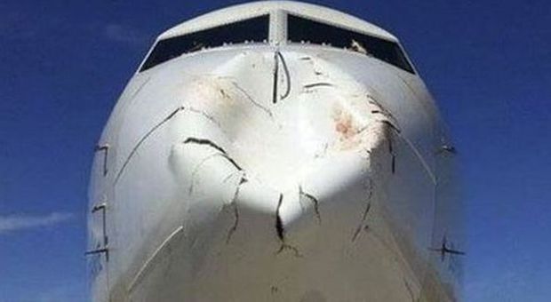 L'aereo della Turkish Airlines che si è scontrato in vola con un uccello (Twitter/Flight-report)