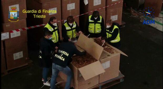 Sequestrate al Porto di Trieste 30 tonnellate di tabacco per contrabbando: "spedizione" da 5 milioni di euro