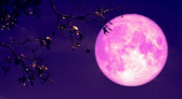 Luna «delle Rose o delle Fragole»: in cosa consiste e quando ci sarà lo spettacolo del corpo celeste