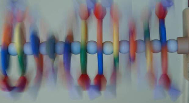 Ecco l'identikit tridimensionale del genoma: la scoperta alla Sissa