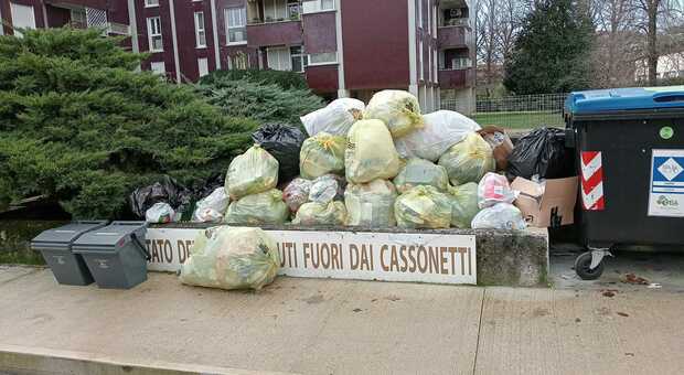 Abbandono dei rifiuti a Pordenone